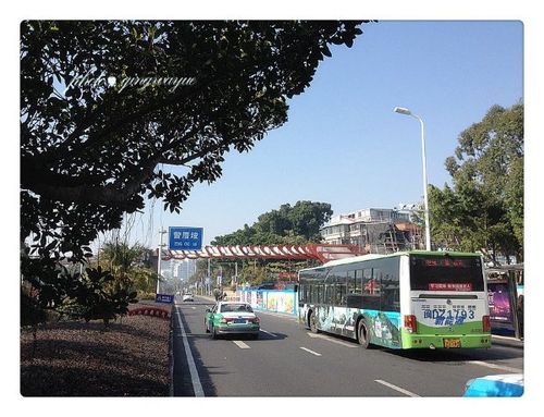 厦门曾厝埯附近哪里停车便宜?厦门857路公交车收费-图2 厦门曾厝埯附近哪里停车便宜?厦门857路公交车收费-图2