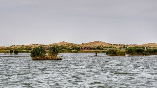 七星湖和响沙湾哪个好玩?七星湖沙漠生态旅游区收费-图3 七星湖和响沙湾哪个好玩?七星湖沙漠生态旅游区收费-图3