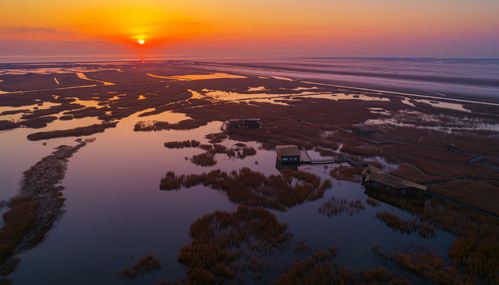 九段沙湿地公园怎么看日出?东滩看日出收费吗-图3 九段沙湿地公园怎么看日出?东滩看日出收费吗-图3