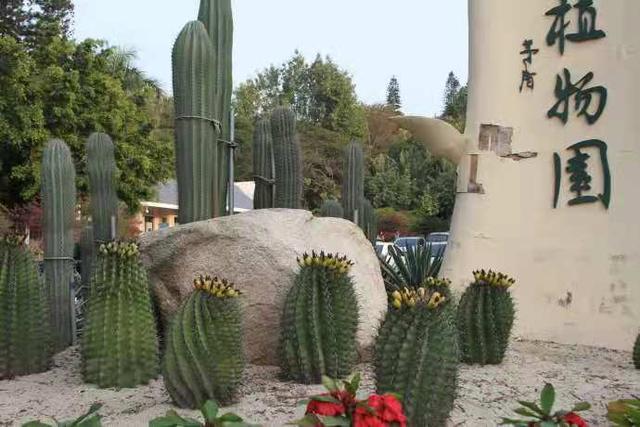 厦门植物园几点关门?万石植物园收费-图2 厦门植物园几点关门?万石植物园收费-图2