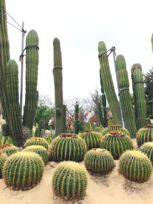 厦门植物园几点关门?万石植物园收费-图3 厦门植物园几点关门?万石植物园收费-图3