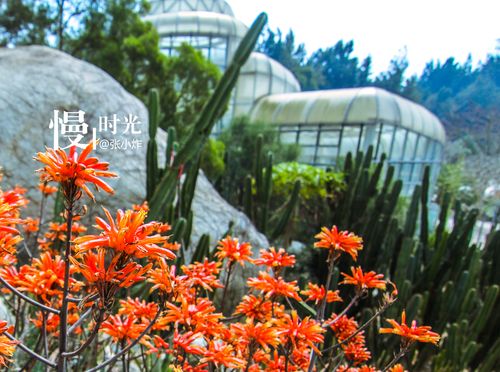 厦门植物园几点关门?万石植物园收费-图1 厦门植物园几点关门?万石植物园收费-图1