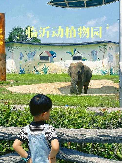 动植物园怎么购票便宜？临沂动植物园除了门票里面还收费吗