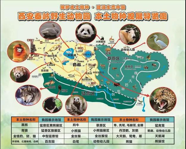 游9路到秦岭野生动物园几个小时？西安游9咋收费