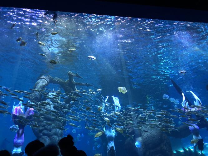 波塞冬海底世界和沙滩一天能玩完吗?海底世界 收费-图2 波塞冬海底世界和沙滩一天能玩完吗?海底世界 收费-图2