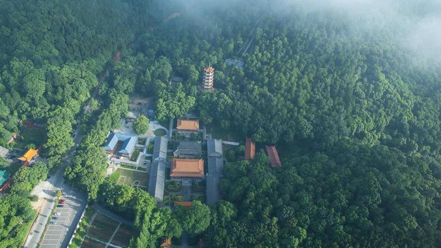 夹山一盏茶介绍?常德夹山国家森林公园停车场收费吗-图2 夹山一盏茶介绍?常德夹山国家森林公园停车场收费吗-图2