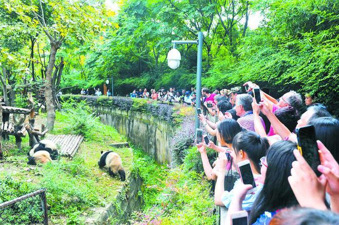 九寨沟铺设的长木梯经过哪些地方？成都熊猫直通线收费吗