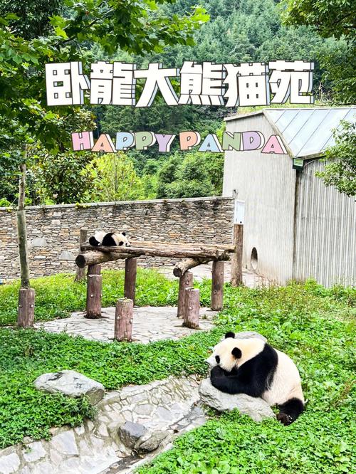 九寨沟铺设的长木梯经过哪些地方?成都熊猫直通线收费吗-图3 九寨沟铺设的长木梯经过哪些地方?成都熊猫直通线收费吗-图3