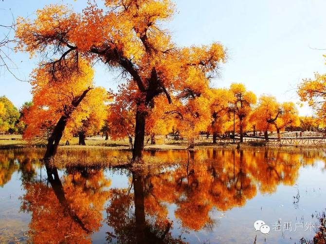 天山号旅游专列详细攻略?嘉峪关金塔胡杨林景区收费-图3 天山号旅游专列详细攻略?嘉峪关金塔胡杨林景区收费-图3