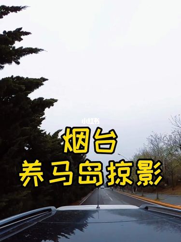 养马岛有停车的地方吗？养马岛开车收费吗