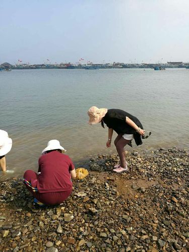 大连李官龙王庙沙石浴场赶海时间？大连李官浴场收费吗