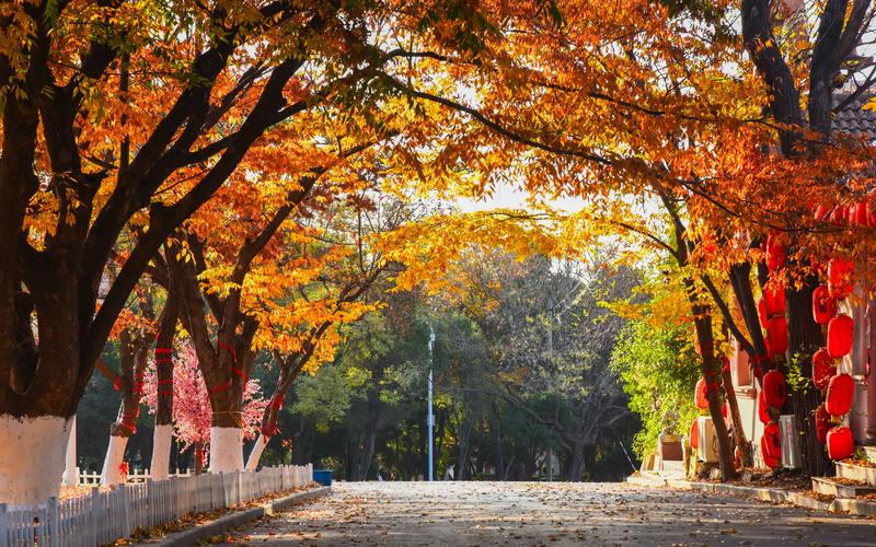 旅顺太阳沟门票?旅顺景点收费多少钱-图3 旅顺太阳沟门票?旅顺景点收费多少钱-图3