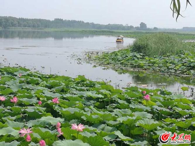 云居湖湿地公园门票?白云湖公园收费吗济南-图2 云居湖湿地公园门票?白云湖公园收费吗济南-图2