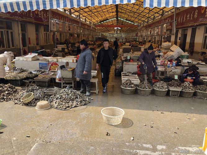 在日照去哪买东西?从石臼市场到日照北收费怎么走-图1 在日照去哪买东西?从石臼市场到日照北收费怎么走-图1
