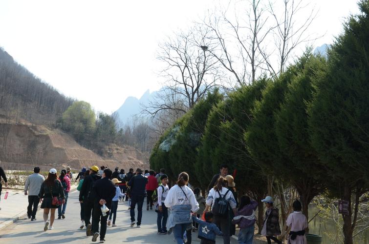 河南清明节哪个景区免门票?焦作森林公园收费不-图3 河南清明节哪个景区免门票?焦作森林公园收费不-图3