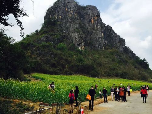 阳春春湾有什么好玩的地方？阳春春湾旅游攻略？春湾风景区早上不收费-图2