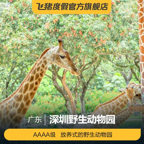 深圳野生动物园儿童票标准?深圳动物园里面的收费项目-图3 深圳野生动物园儿童票标准?深圳动物园里面的收费项目-图3