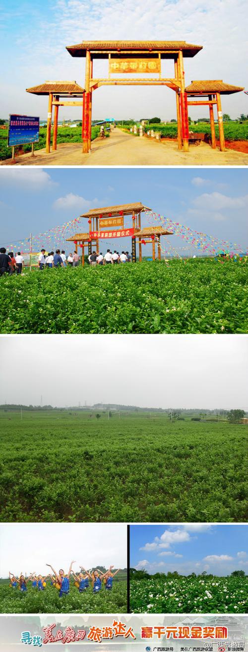 横县好玩的地方？横县中华茉莉园收费吗