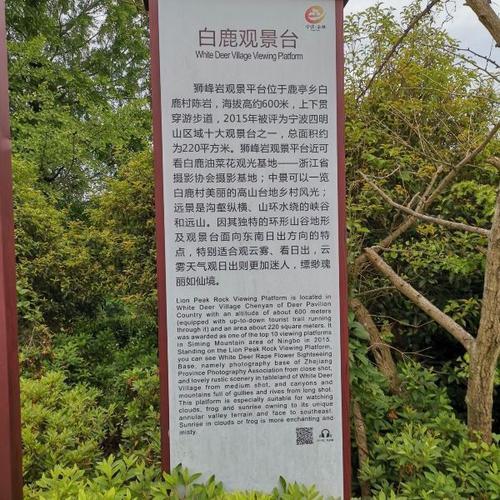 白鹿公园要门票吗？白鹿收费