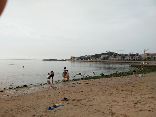 葡萄滩海水浴场可以赶海吗?威海葡萄滩浴场收费吗-图1 葡萄滩海水浴场可以赶海吗?威海葡萄滩浴场收费吗-图1
