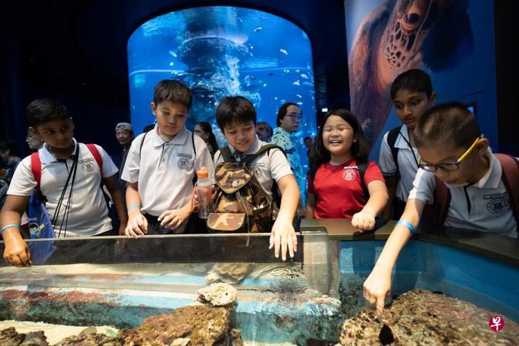 世界上哪个海洋博物馆最值得去旅行?圣淘沙的赌场收费吗-图2 世界上哪个海洋博物馆最值得去旅行?圣淘沙的赌场收费吗-图2