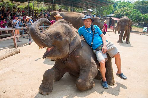 泰国象岛旅游要多少钱?泰国普吉岛大象保护营收费-图3 泰国象岛旅游要多少钱?泰国普吉岛大象保护营收费-图3