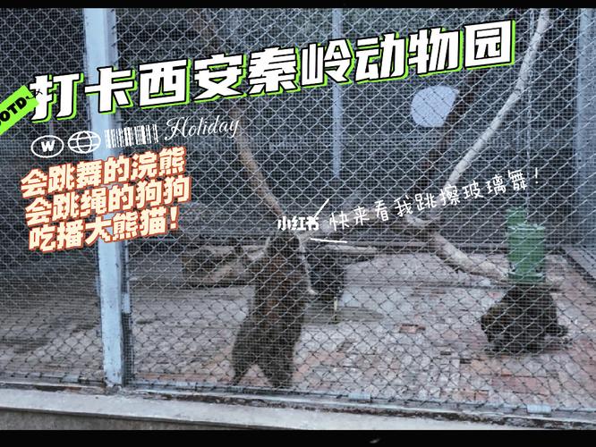 2021年西安秦岭野生动物园收费明细?西安旅游 儿童如何收费-图3 2021年西安秦岭野生动物园收费明细?西安旅游 儿童如何收费-图3