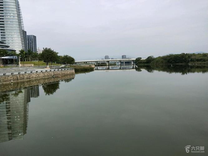 福建有什么湖？杏林湾钓鱼收费吗-图3