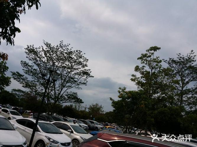 成都凤凰山停车攻略?深圳凤凰山停车收费标准-图2 成都凤凰山停车攻略?深圳凤凰山停车收费标准-图2