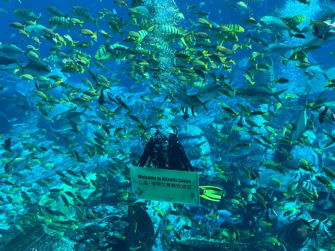 三亚亚特兰蒂斯水族馆表演时间？三亚亚特兰蒂斯看海豚要收费吗