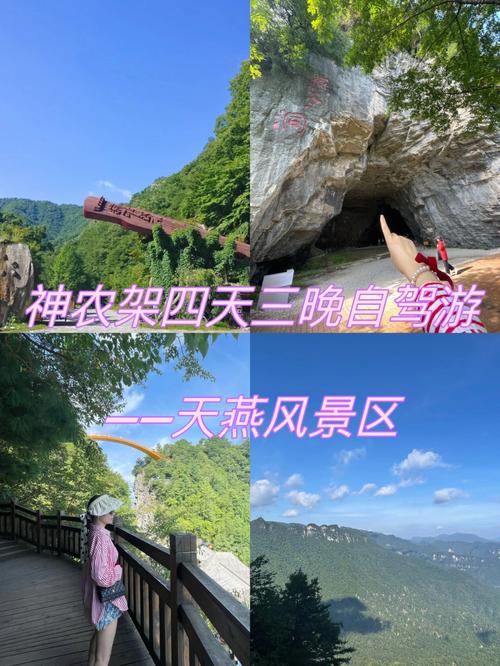 神农架门票免费须知?神农架景景区儿童怎么收费-图1 神农架门票免费须知?神农架景景区儿童怎么收费-图1