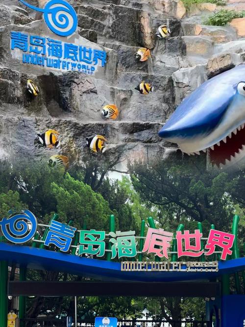 青岛海底世界停车哪里便宜?青岛收费的旅游景点-图3 青岛海底世界停车哪里便宜?青岛收费的旅游景点-图3