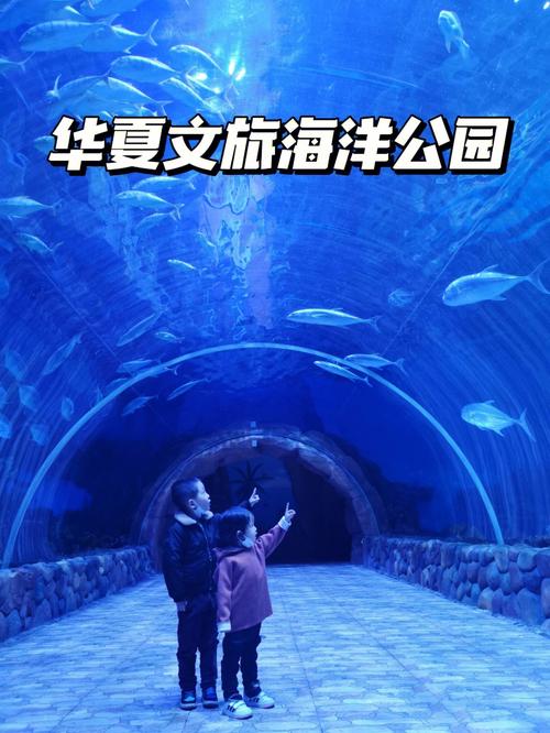 华夏文旅海洋公园停车方便吗?深圳华夏艺术中心停车场收费标准-图3 华夏文旅海洋公园停车方便吗?深圳华夏艺术中心停车场收费标准-图3