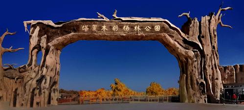 塔里木胡杨林和沙雅胡杨林哪个大?沙雅胡杨林收费吗-图3 塔里木胡杨林和沙雅胡杨林哪个大?沙雅胡杨林收费吗-图3