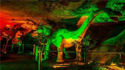 荆门千佛洞植物园要不要门票?荆门千佛洞森林公园收费吗-图2 荆门千佛洞植物园要不要门票?荆门千佛洞森林公园收费吗-图2