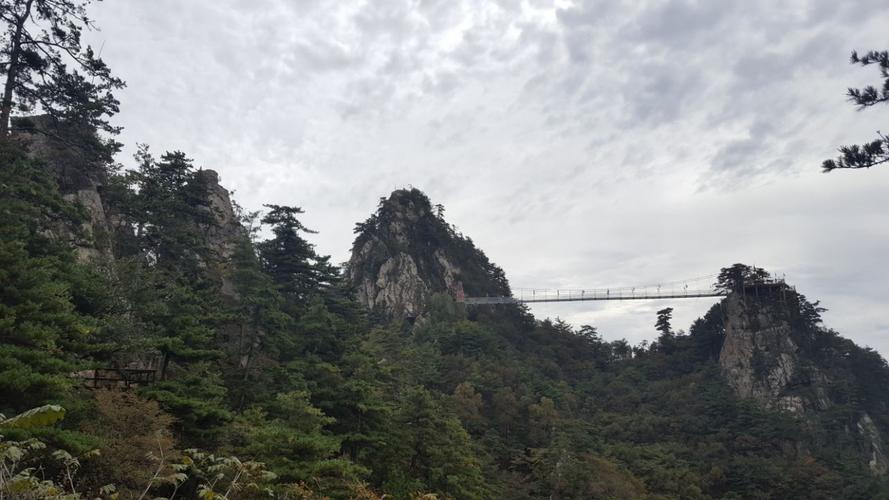 老界岭景区可以走到犄角尖吗？西峡老界岭怎么收费的