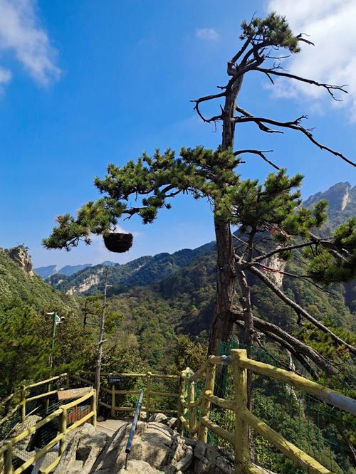 老界岭景区可以走到犄角尖吗?西峡老界岭怎么收费的-图3 老界岭景区可以走到犄角尖吗?西峡老界岭怎么收费的-图3