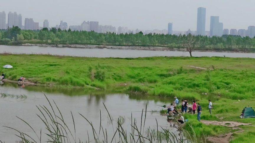 滨湖森林公园可以钓鱼吗？合肥湿地公园停车收费吗-图2
