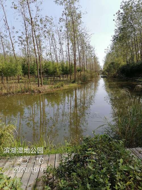 滨湖森林公园可以钓鱼吗？合肥湿地公园停车收费吗