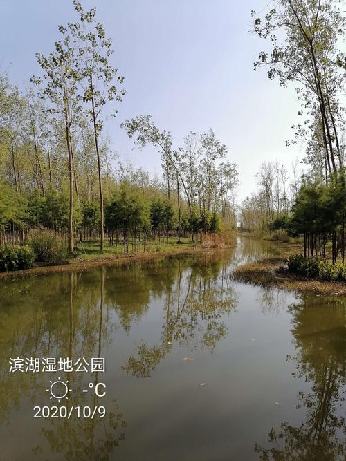 滨湖森林公园可以钓鱼吗？合肥湿地公园停车收费吗-图3