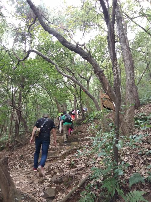 惠山古镇爬山哪个门不要门票?无锡惠山森林公园收费-图3 惠山古镇爬山哪个门不要门票?无锡惠山森林公园收费-图3