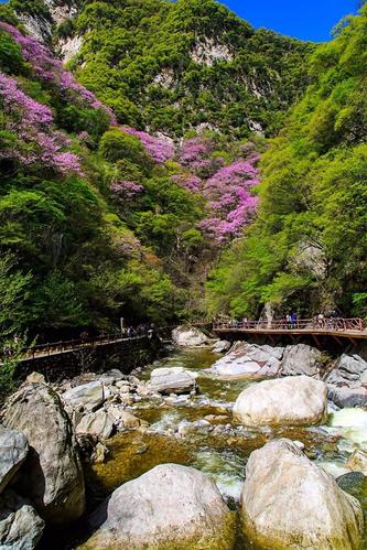 西安秦岭一日游免费景点?蓝天旅游景点收费吗-图3 西安秦岭一日游免费景点?蓝天旅游景点收费吗-图3