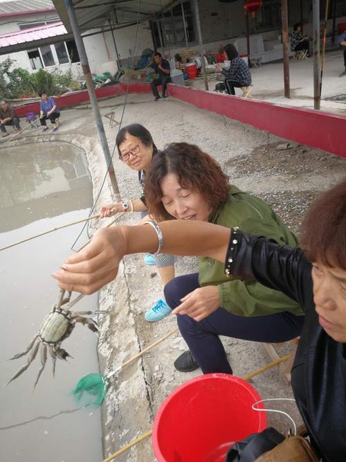 今年有去过七里海钓螃蟹的吗?多少钱一斤啊?哪家比较好啊?七里海钓蟹收费-图2 今年有去过七里海钓螃蟹的吗?多少钱一斤啊?哪家比较好啊?七里海钓蟹收费-图2