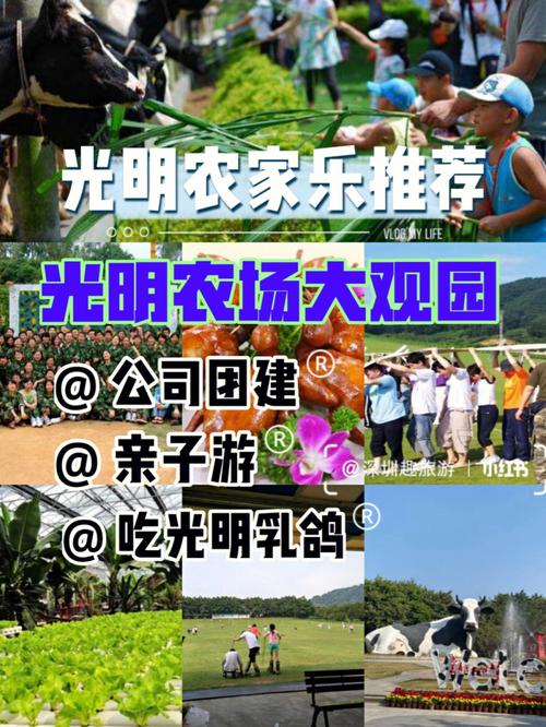 光明农场门票多少?光明农场停车场收费-图3 光明农场门票多少?光明农场停车场收费-图3