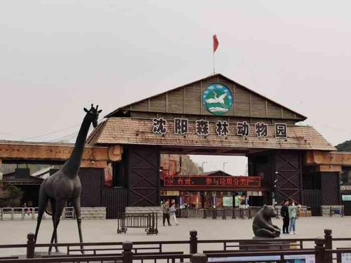 沈阳长白动物园开门了吗?白天鹅宾馆停车收费标准-图2 沈阳长白动物园开门了吗?白天鹅宾馆停车收费标准-图2
