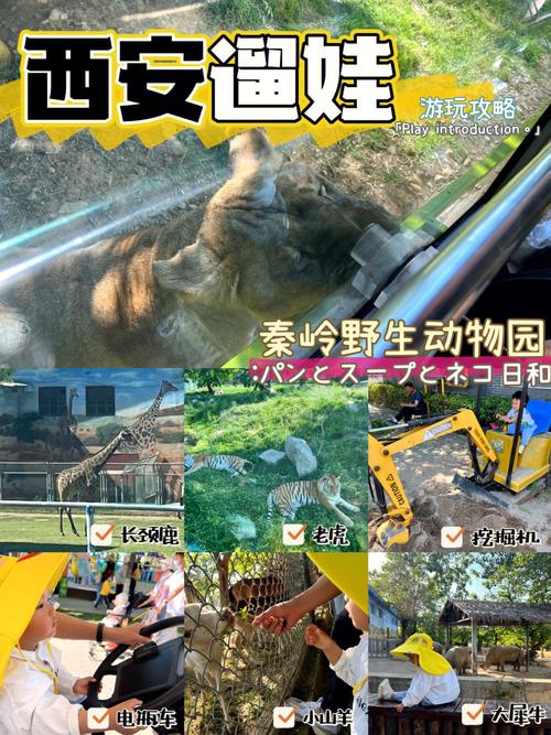 秦岭野生动物园有自行车吗?秦岭野生动物小火车怎么收费-图3 秦岭野生动物园有自行车吗?秦岭野生动物小火车怎么收费-图3