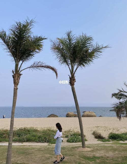 厦门白城沙滩停车停哪里比较好?椰风寨停车怎么收费-图3 厦门白城沙滩停车停哪里比较好?椰风寨停车怎么收费-图3