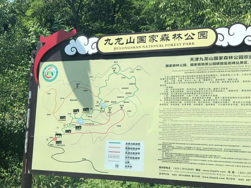 九龙山风景区停车怎么收费?滨海森林公园停车收费-图3 九龙山风景区停车怎么收费?滨海森林公园停车收费-图3