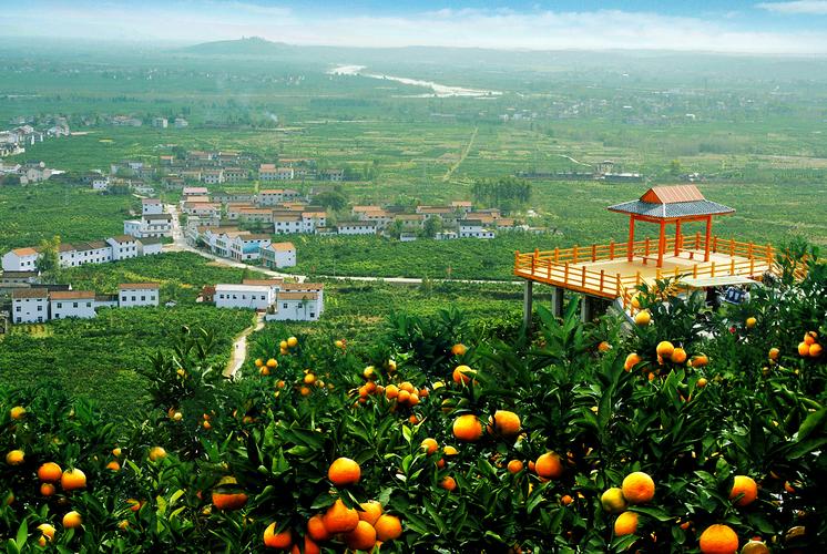 汉中城固的旅游景点有哪些?城固桔园怎么收费-图3 汉中城固的旅游景点有哪些?城固桔园怎么收费-图3
