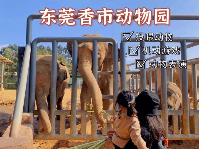 香市动物园门票?香市动物园停车场收费吗-图1 香市动物园门票?香市动物园停车场收费吗-图1